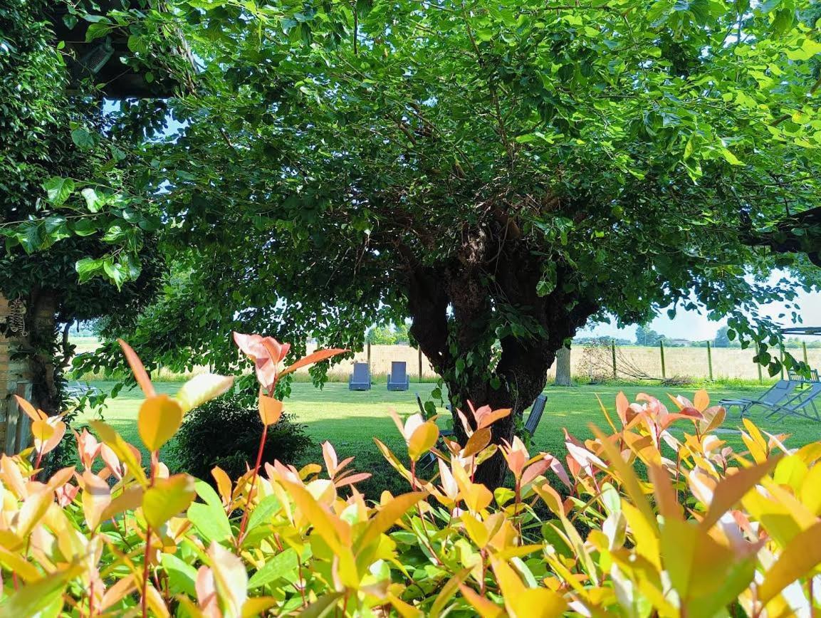 B&B Casa Del Bosco San Michele al Tagliamento Zewnętrze zdjęcie